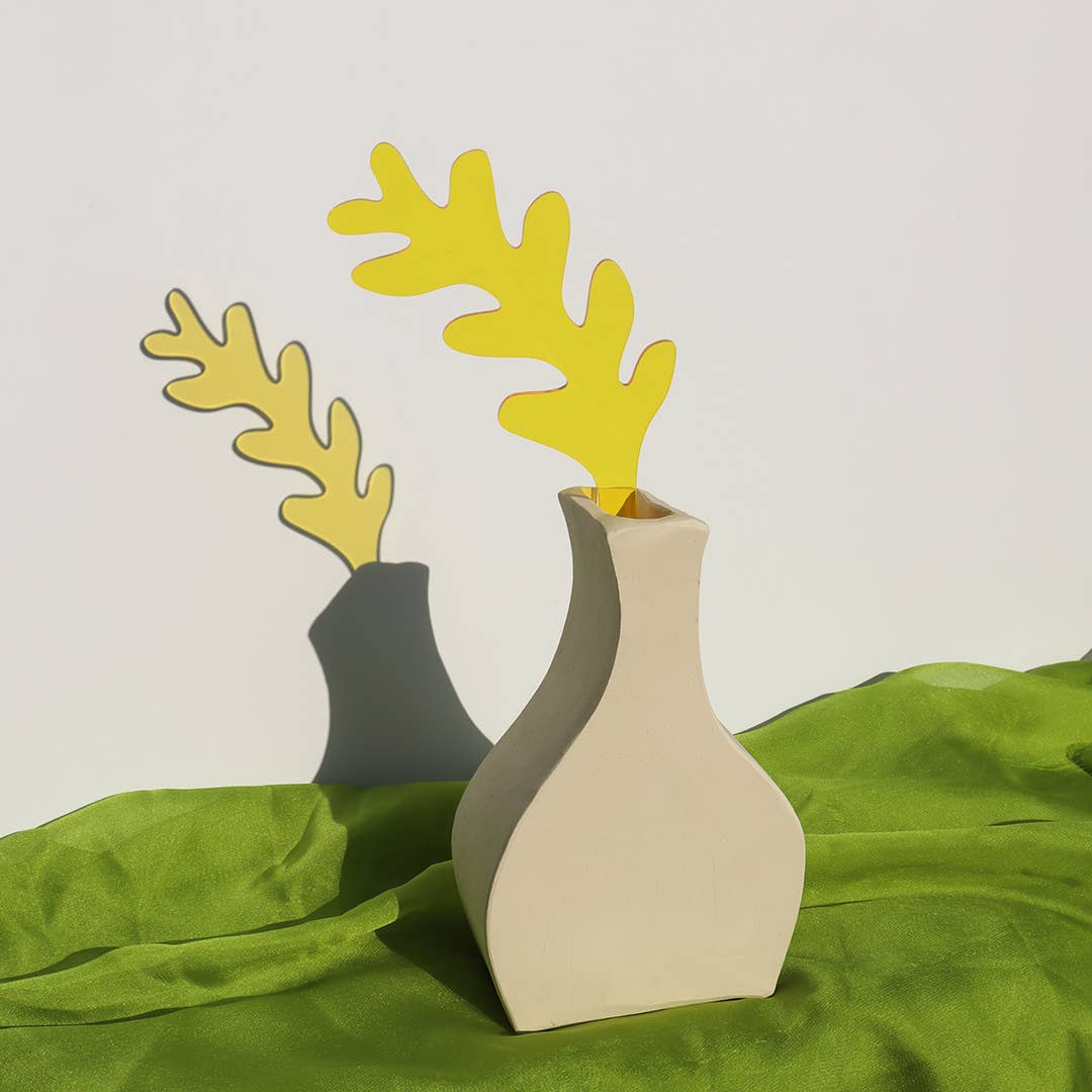 Fern Stem