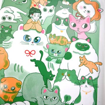 CATS Catch-all tray