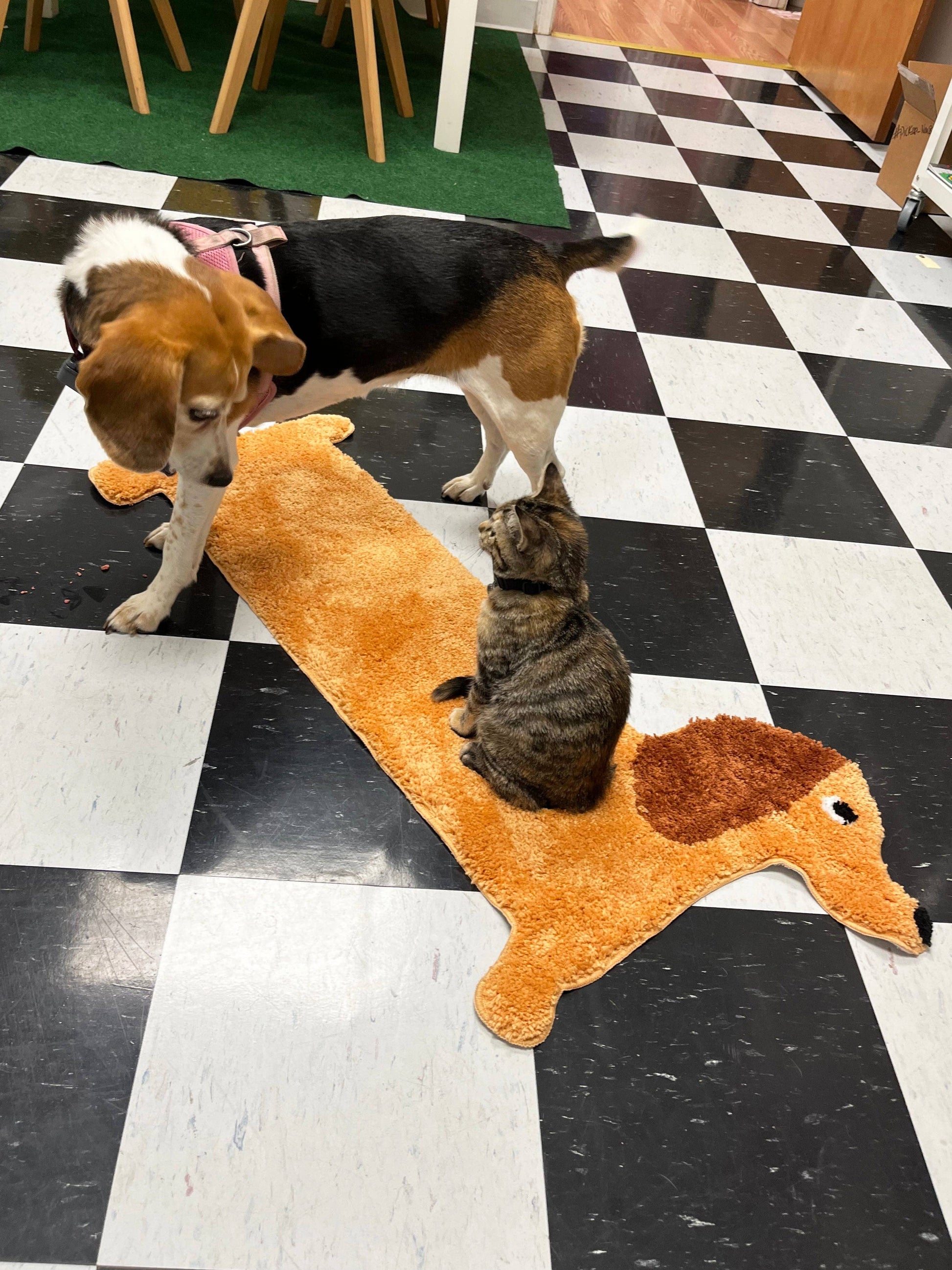 Dachshund Design Polyester Door Mat