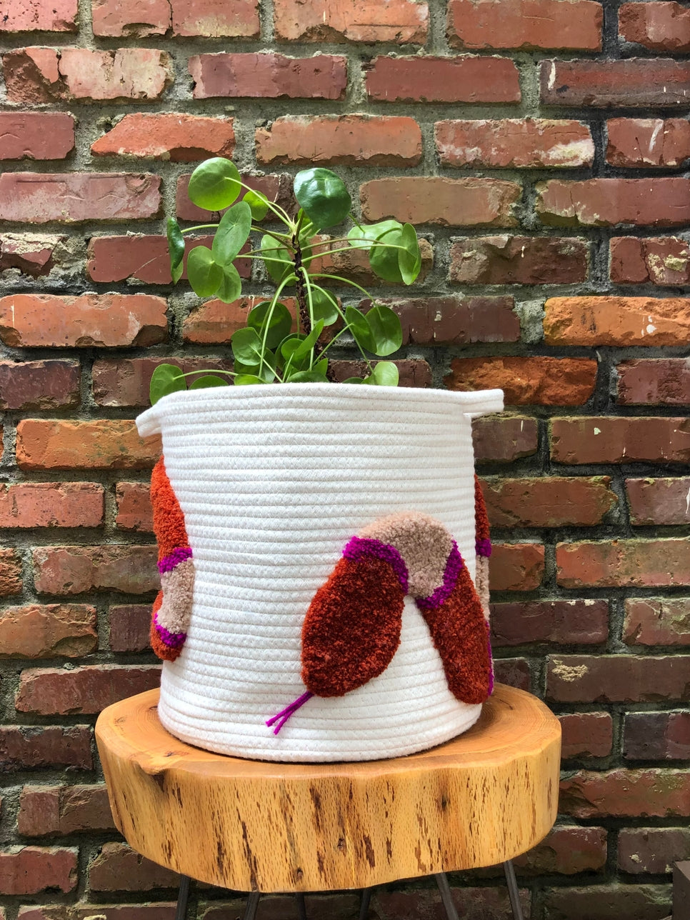 13" Tufted Basket - Snake