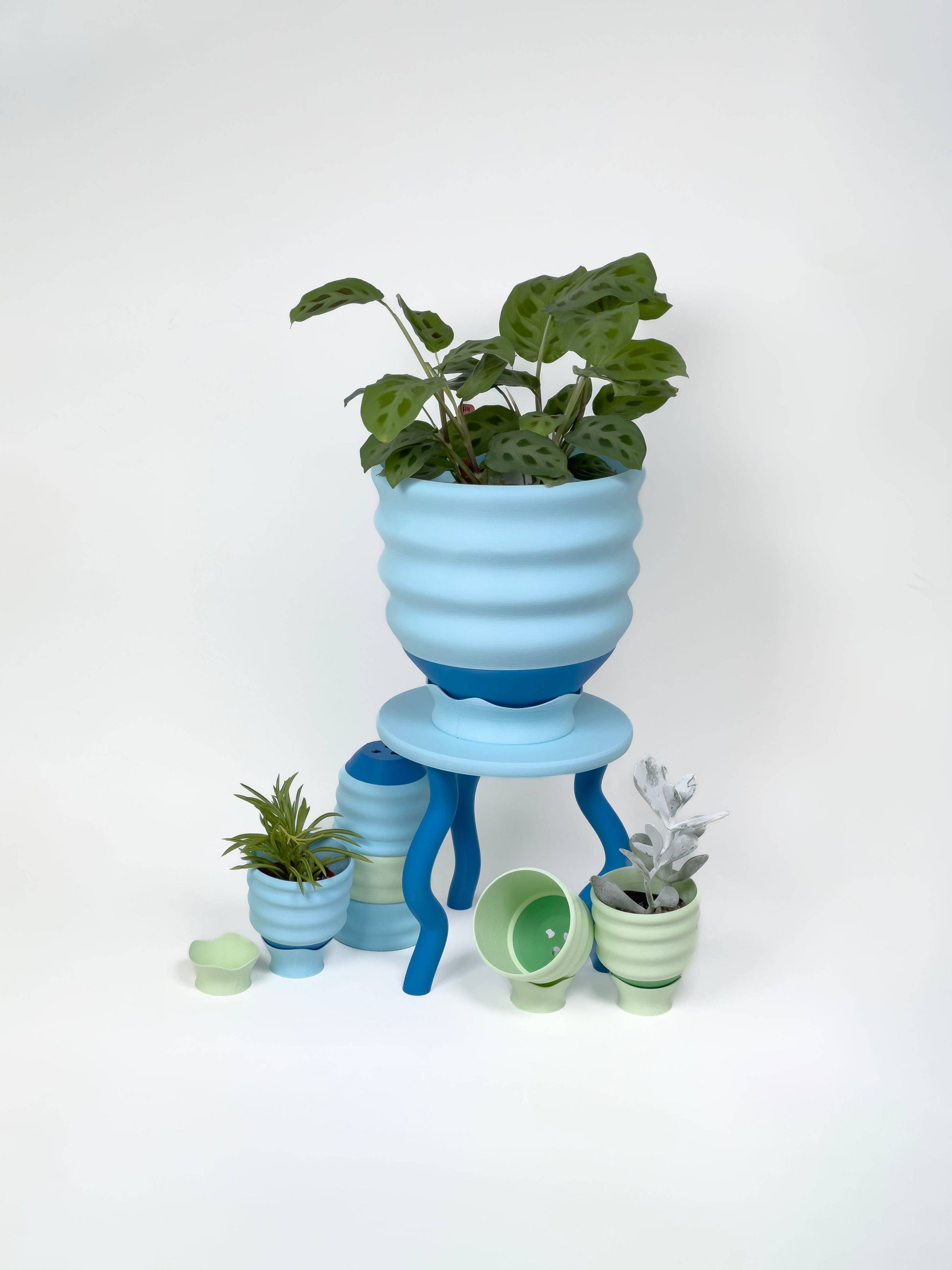 Wavy Plant Stand