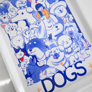 DOGS Catch-all tray
