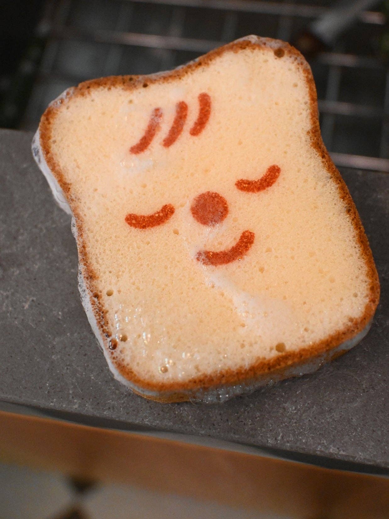 "Poundcake/ Ponqué" Cleaning Sponge