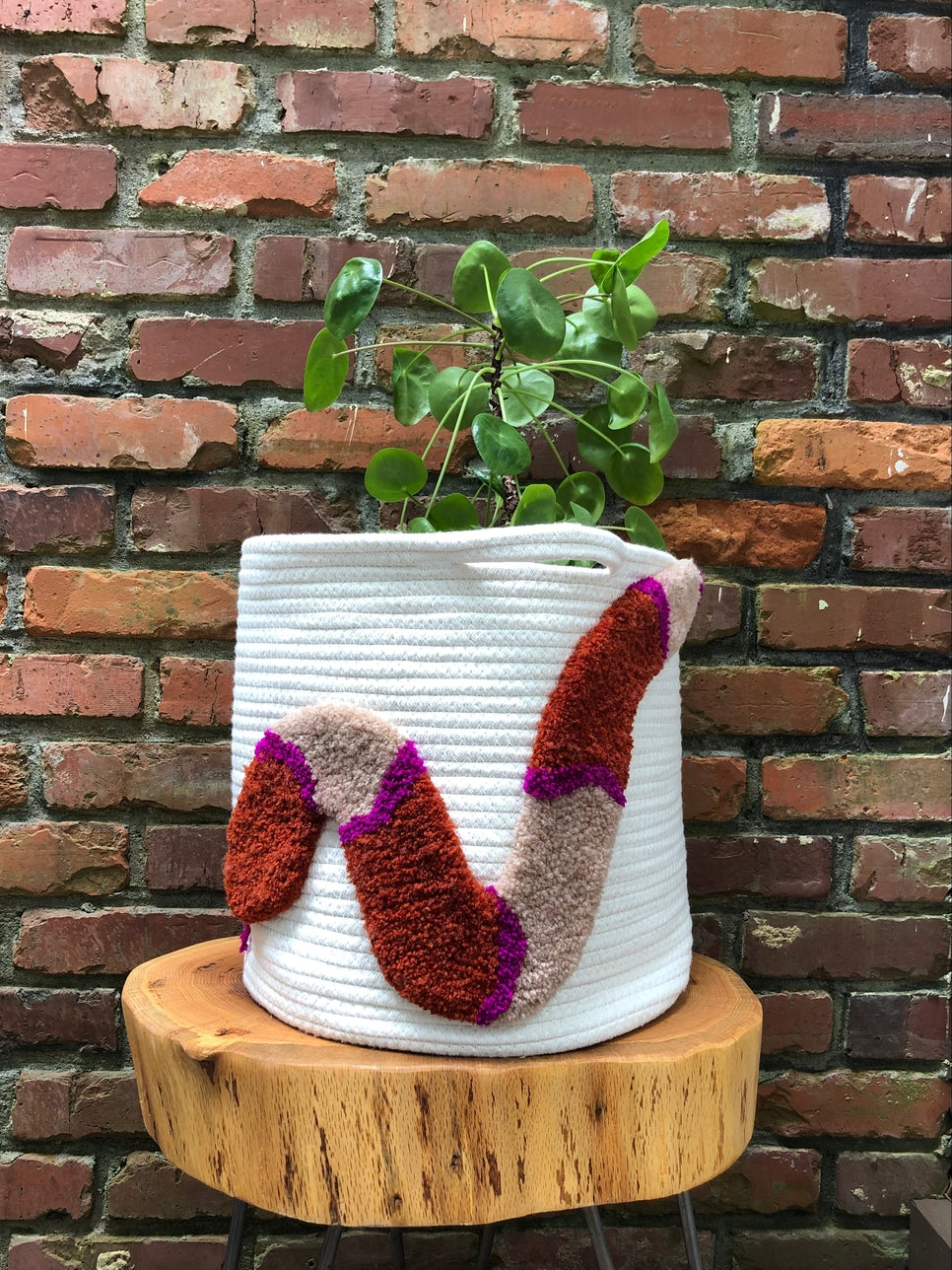 13" Tufted Basket - Snake